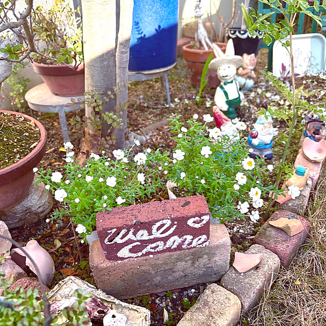 takakoさんの実例写真