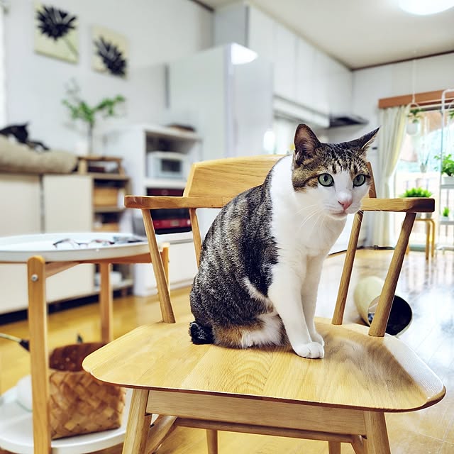 nachiさんの部屋