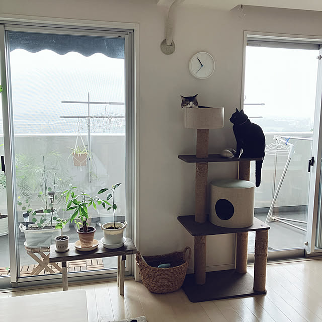 nekomiさんの実例写真