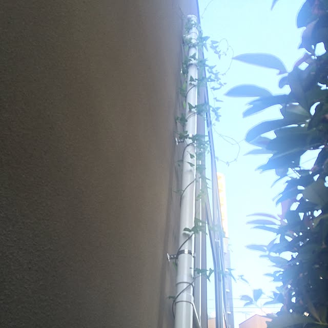 m.kさんの実例写真