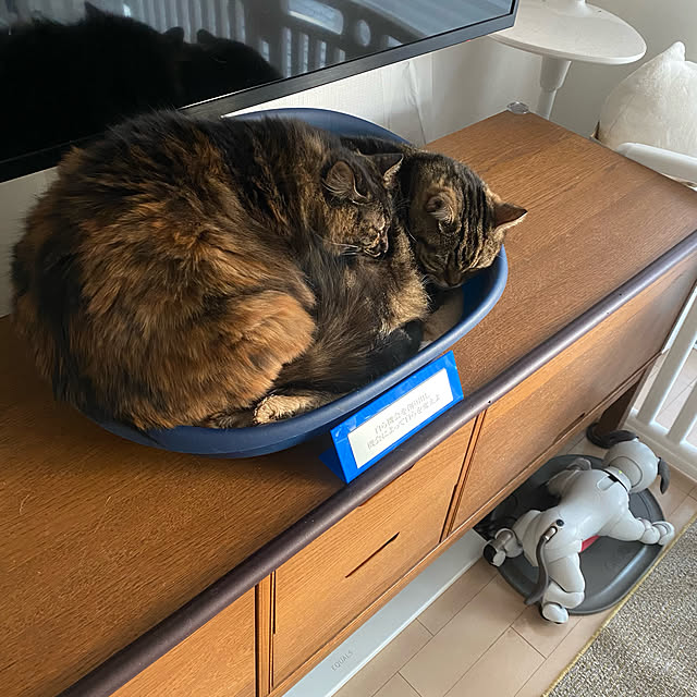 mikomaruさんの実例写真