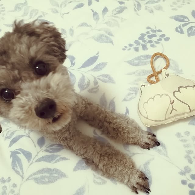 momoさんの実例写真