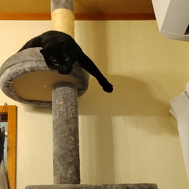 Tさんの実例写真