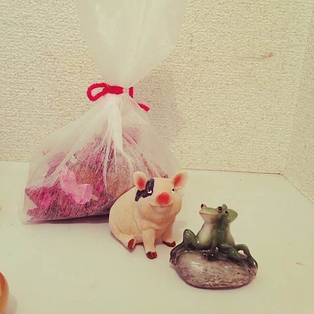Saraさんの実例写真