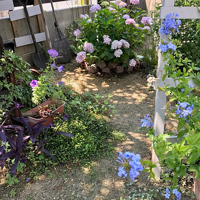 bibianさんの実例写真