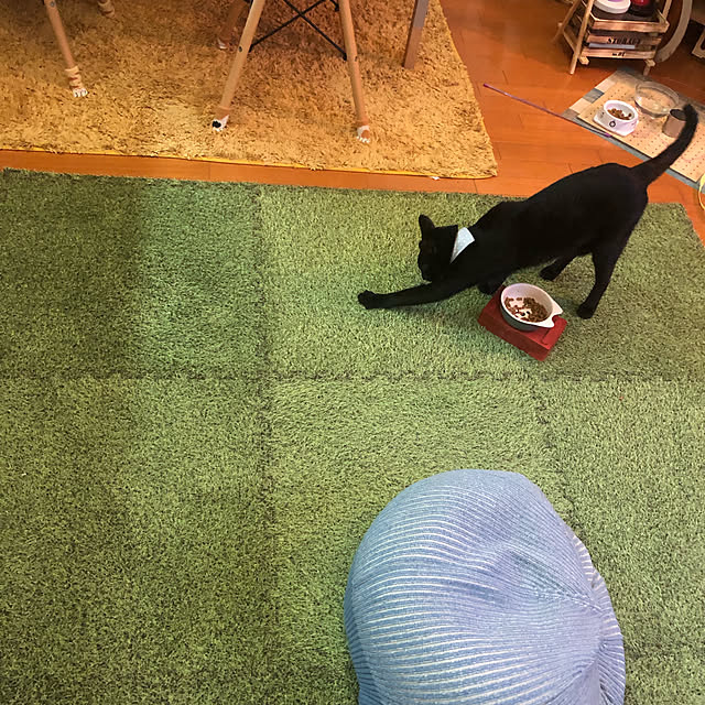 jijiさんの実例写真