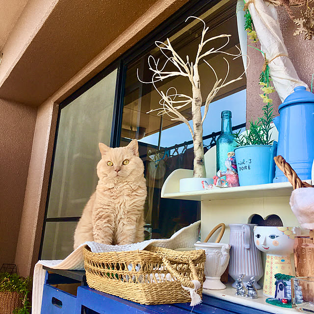 naokoさんの部屋