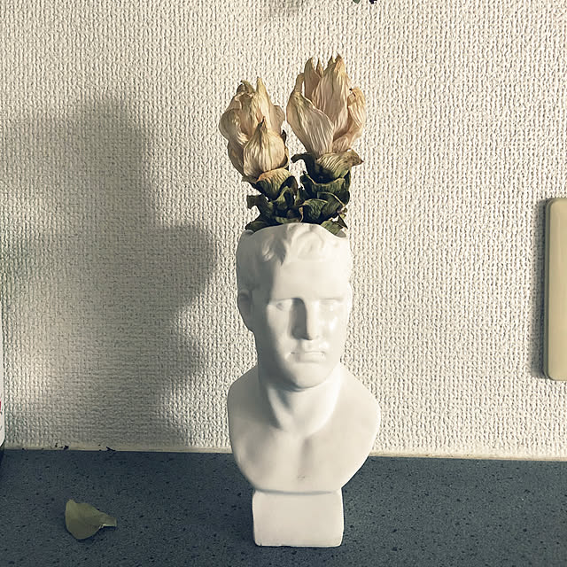 Mizoteeさんの実例写真