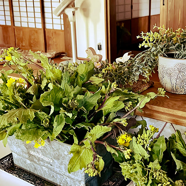 cotaさんの部屋