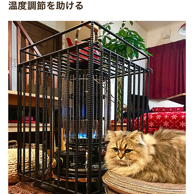 butachanさんの実例写真