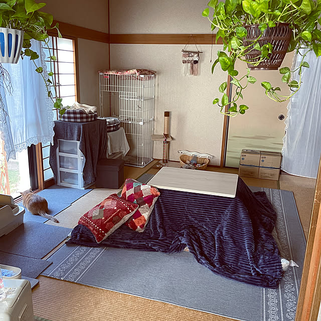 himetanさんの実例写真
