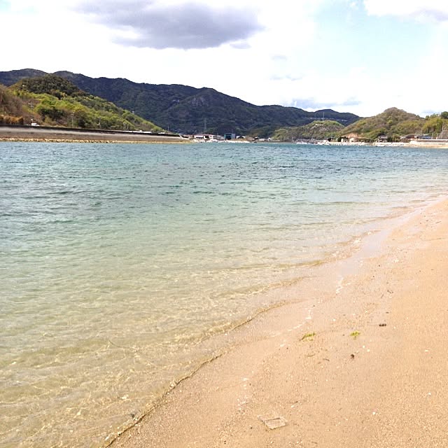 実例写真