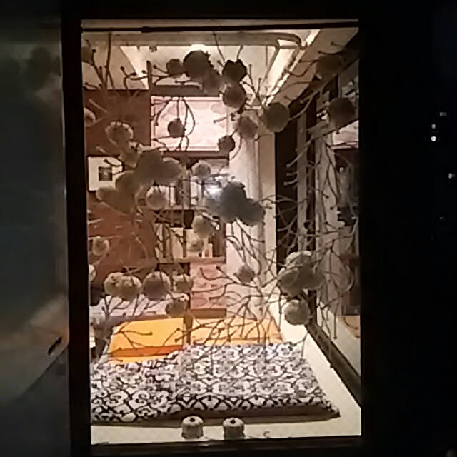spinetailさんの実例写真