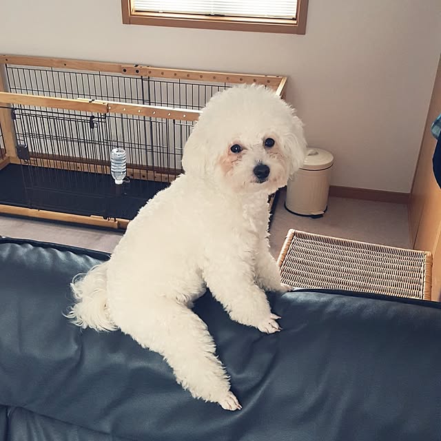 takoさんの実例写真