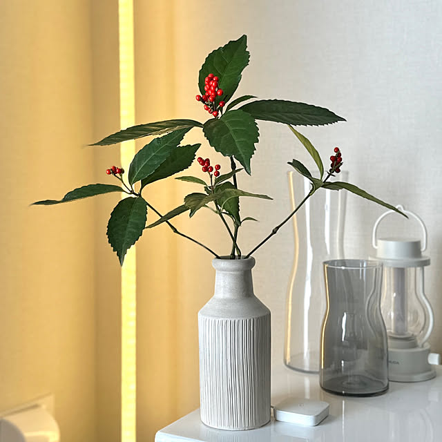 Ozuさんの実例写真