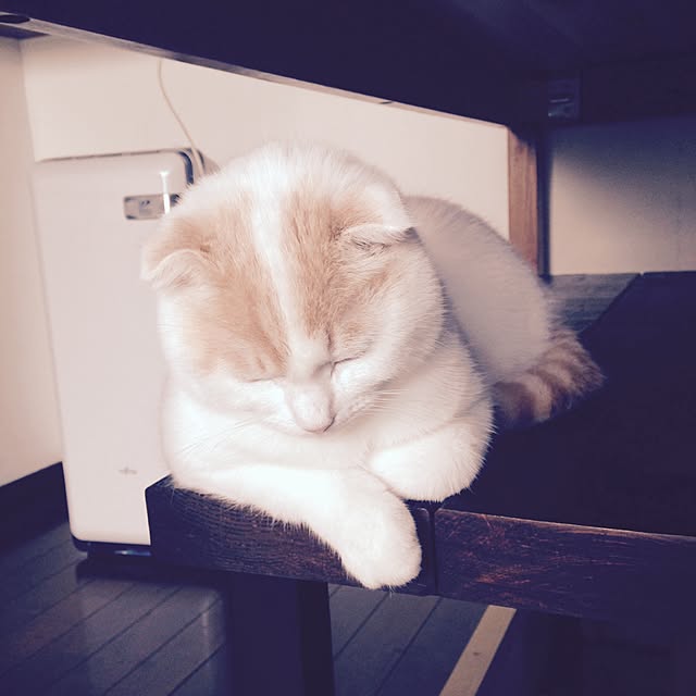 onojiijiさんの実例写真