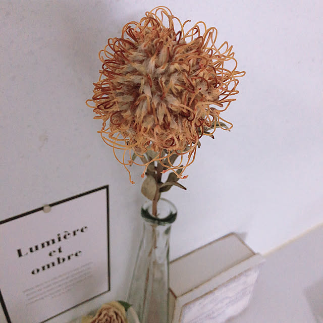 hiroさんの部屋