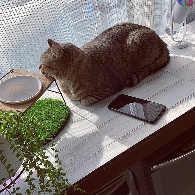 mokaさんの実例写真