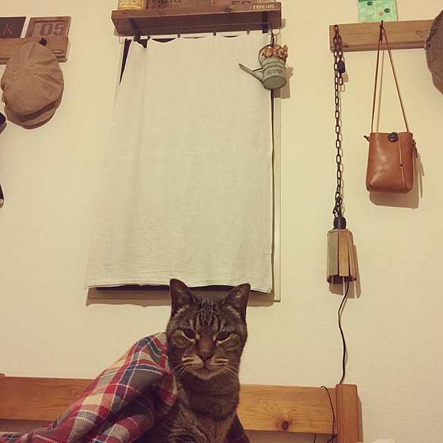 beansさんの実例写真