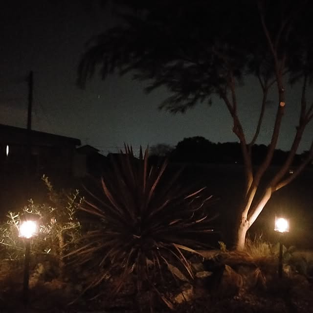 lil-lilyさんの実例写真