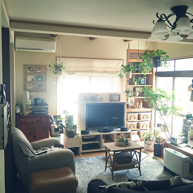 73さんの実例写真
