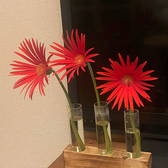 ez33cさんの実例写真
