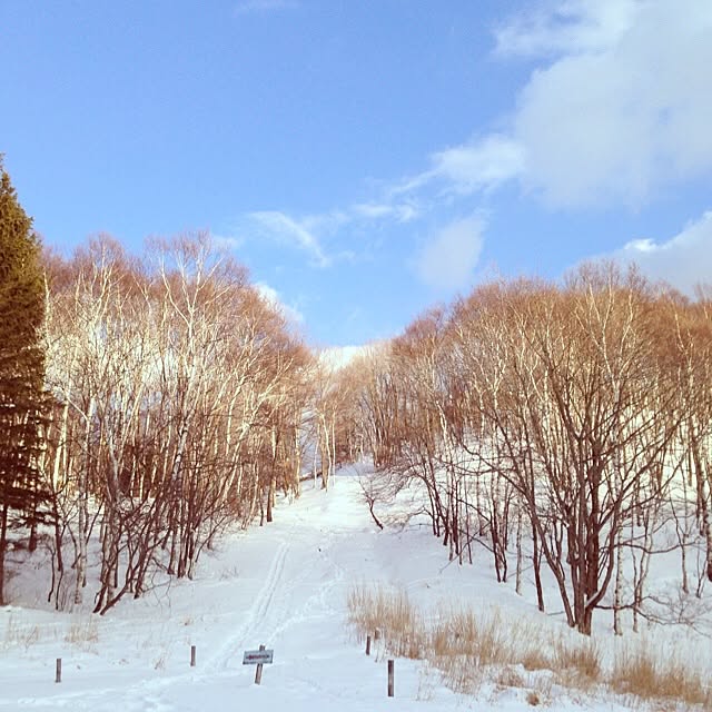 SRさんの実例写真