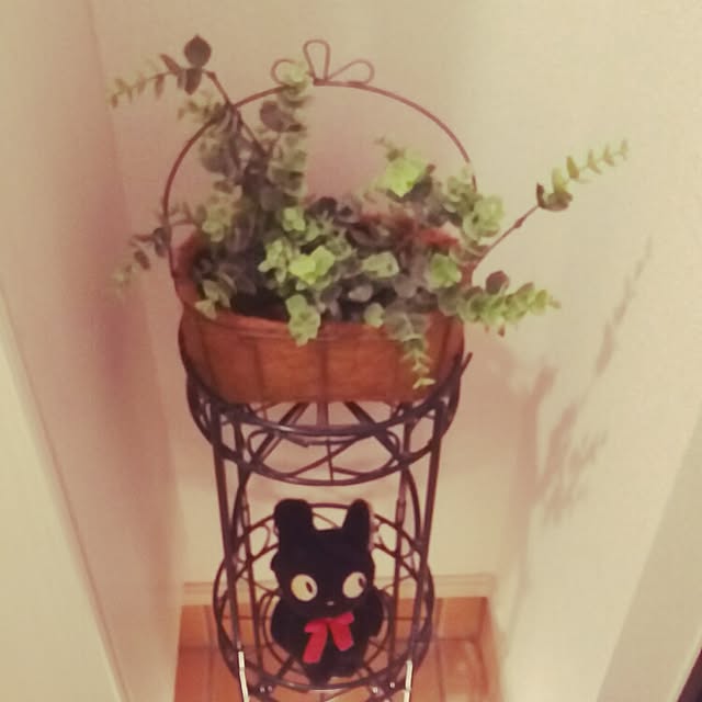 satomiさんの実例写真