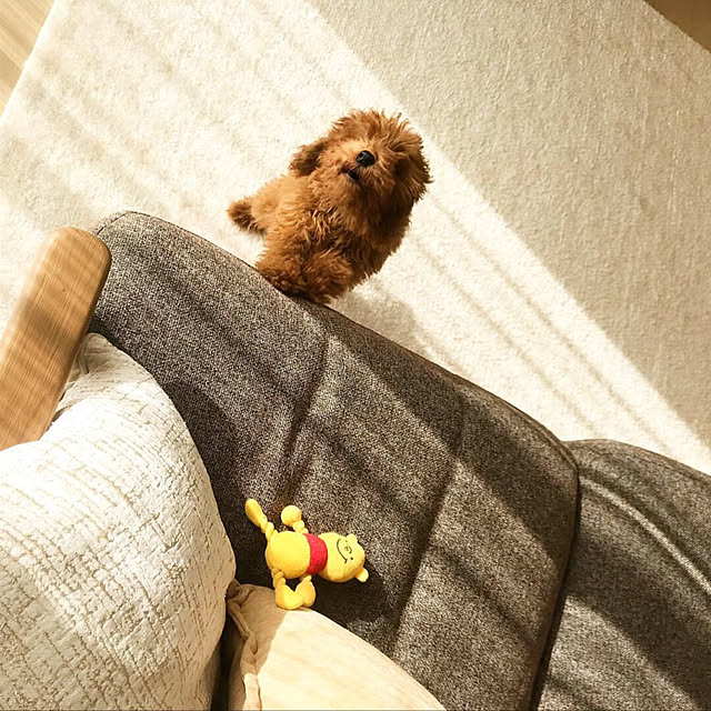 ayaさんの実例写真