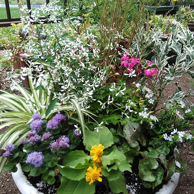 yun1108さんの実例写真