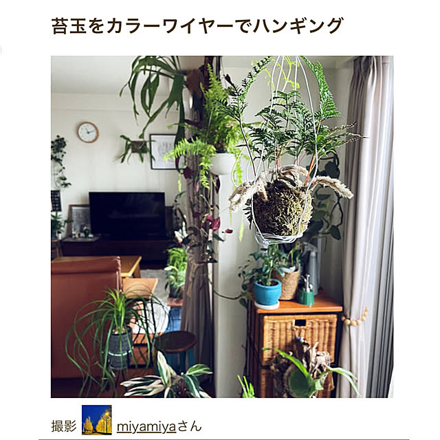 miyamiyaさんの実例写真