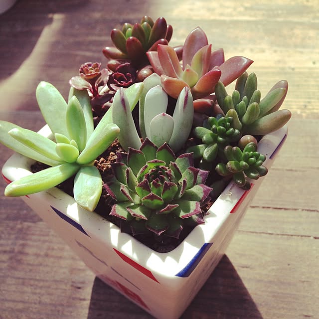 yumi72さんの実例写真