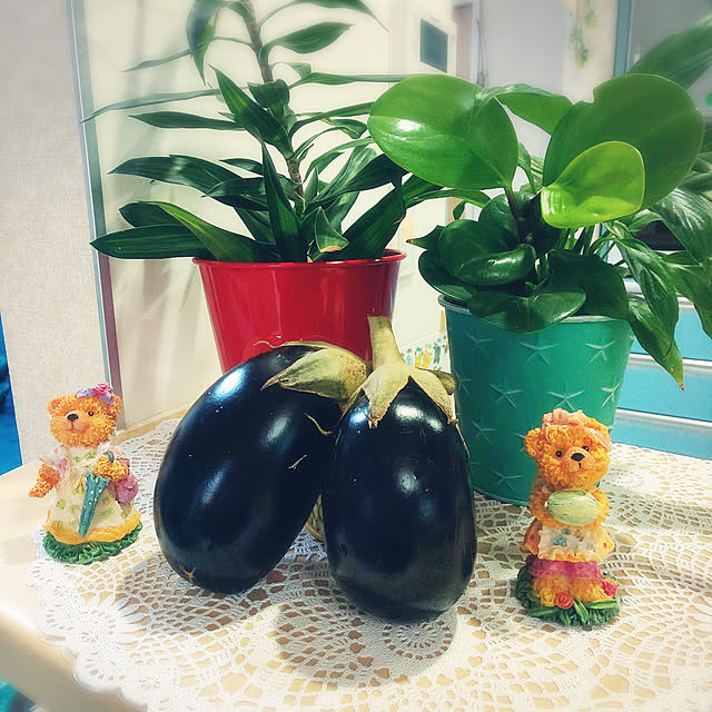 Miyumamaさんの実例写真
