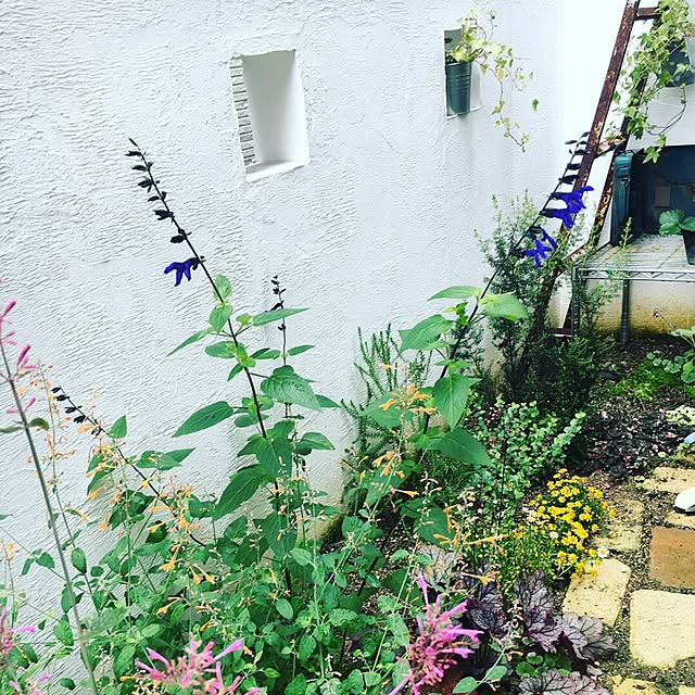 cocco0505さんの実例写真