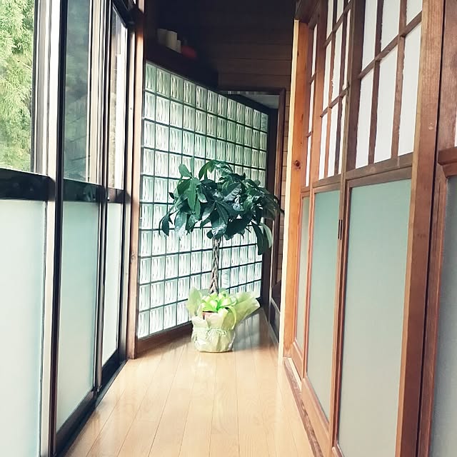 hana.1321jpさんの実例写真