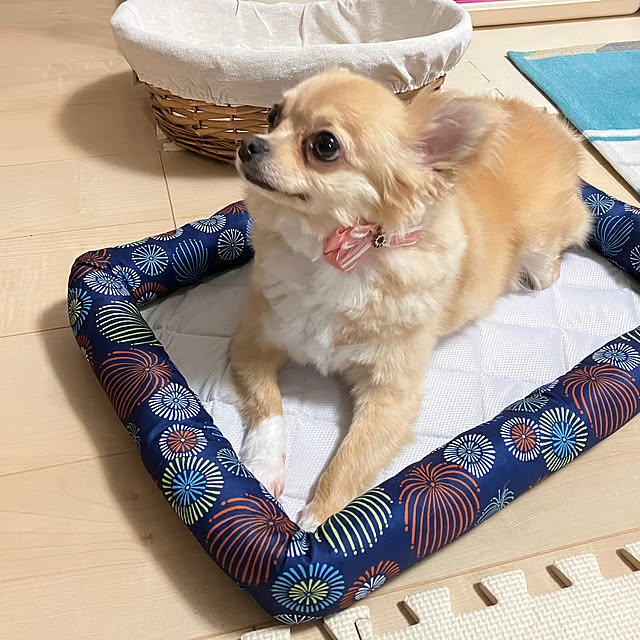 kouさんの実例写真