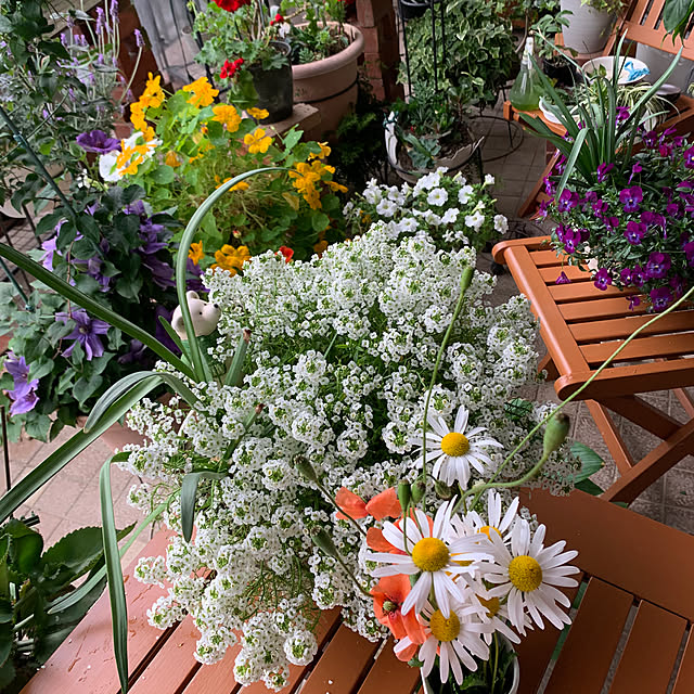 Aqettyさんの部屋