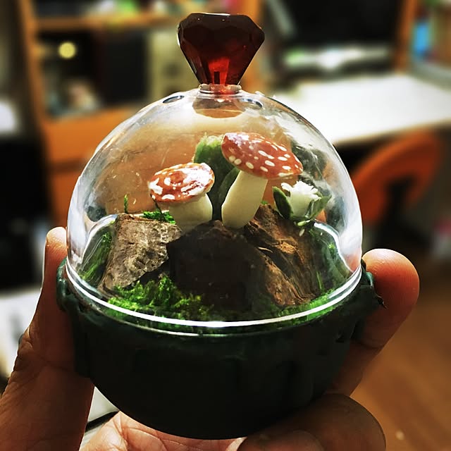 ramuchop3000さんの実例写真