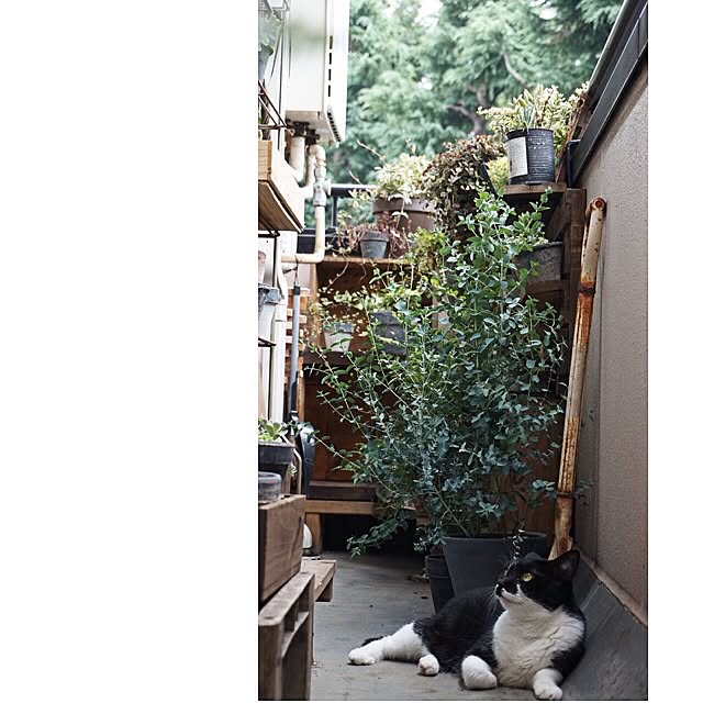 jnkaiさんの実例写真