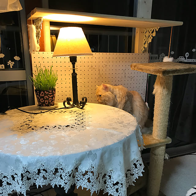 roseさんの実例写真