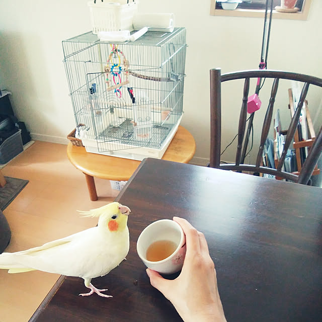 pontaさんの実例写真