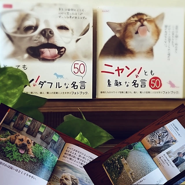 Natashyaさんの実例写真