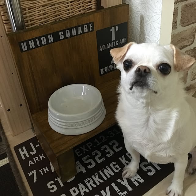 ani55さんの実例写真