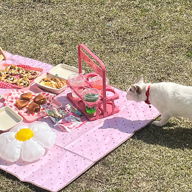 a.iさんの部屋