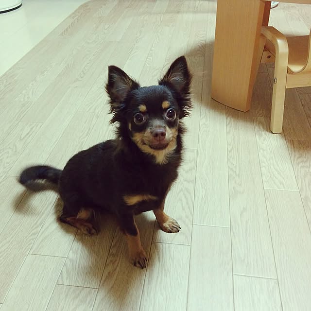 miyuさんの実例写真