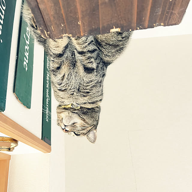 Mさんの部屋
