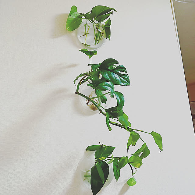 RAKI_Homeさんの実例写真