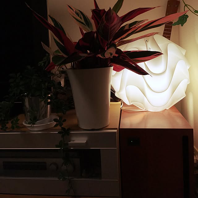 部屋全体のインテリア実例 - 2017-03-06 22:55:08
