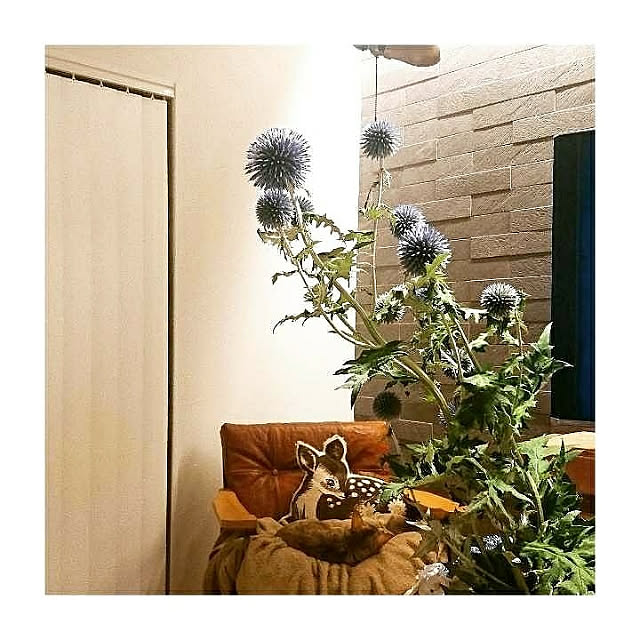maison.de.brocanteさんの実例写真