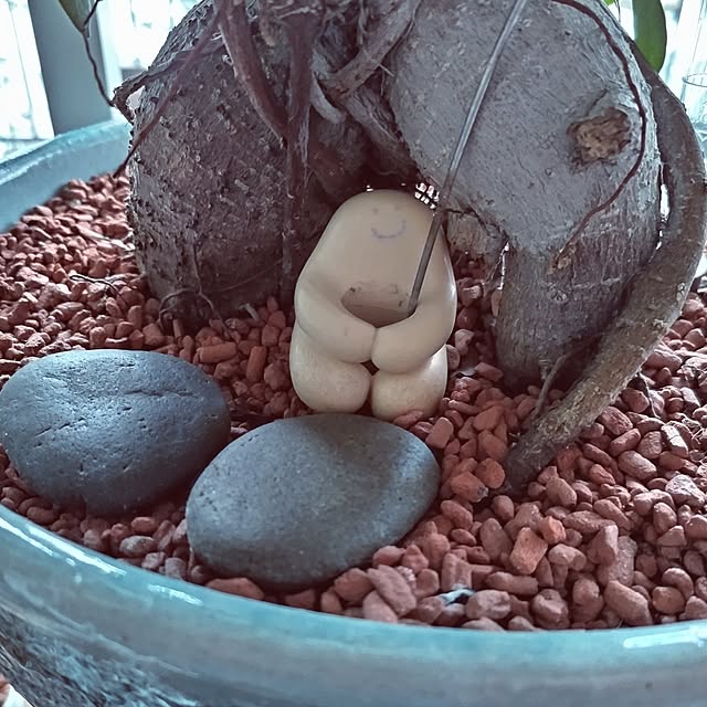 mi-saさんの部屋